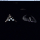 Illustration for article titled iBattlestar Galactica/i: “Act Of Contrition” / “You Can’t Go Home Again”